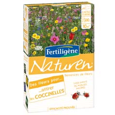 Fleurs pour coccinelles